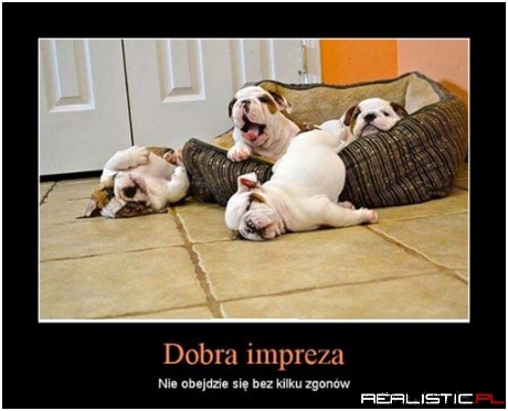 Dobra impreza