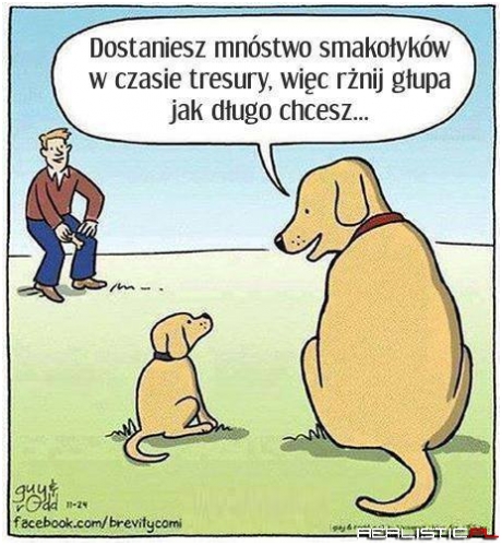 Dobra rada