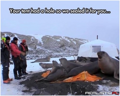 Don't Worry Scientists