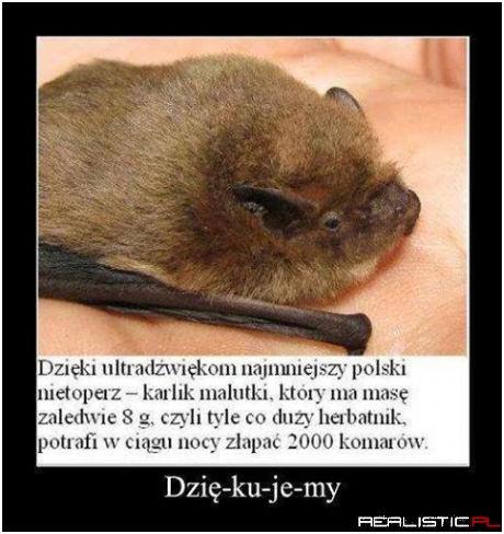 Dziękujemy
