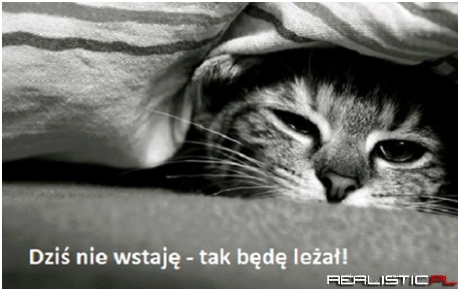Dzisiaj nie wstaję