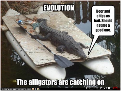 EVOLUTION