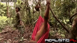 Fancy Free in The Red Hammock