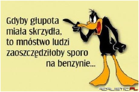 Gdyby głupota miała skrzydła