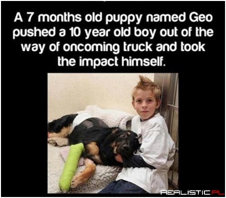 Go Give Your Dog A Hug
