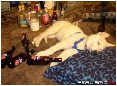 Going to Be Hungover Tomorrow