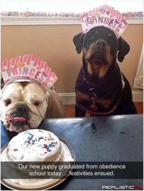 Hopefully Not Too Well Mannered To Party
