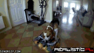 I Brought You Some Presents, Little Human