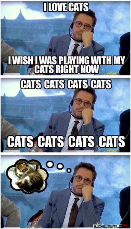 I love cats