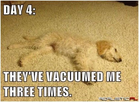 I No Longer Fear The Vacuum Beast