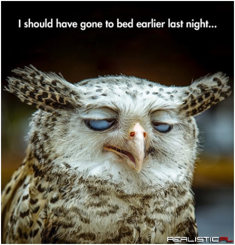 I should...