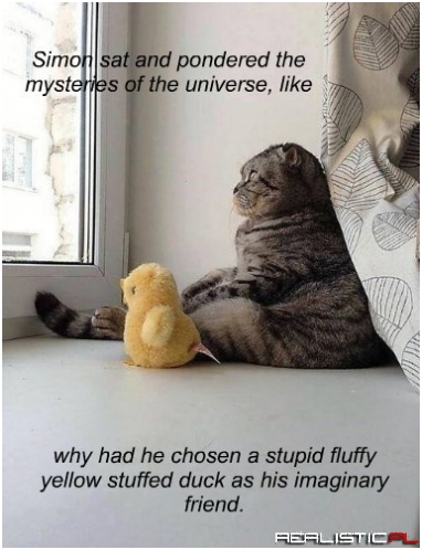 I Still Love You Fluffy Duck