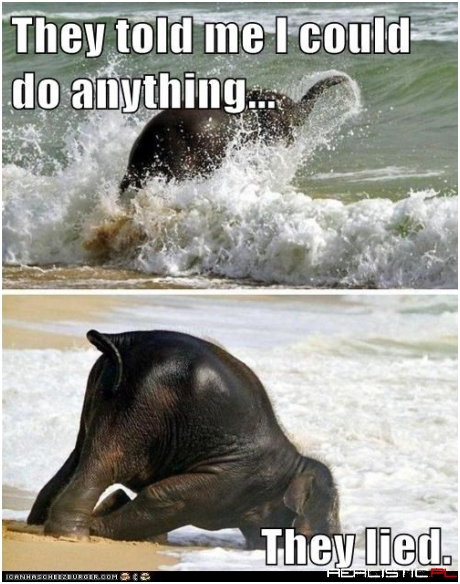I Want to Swim With the Fishies
