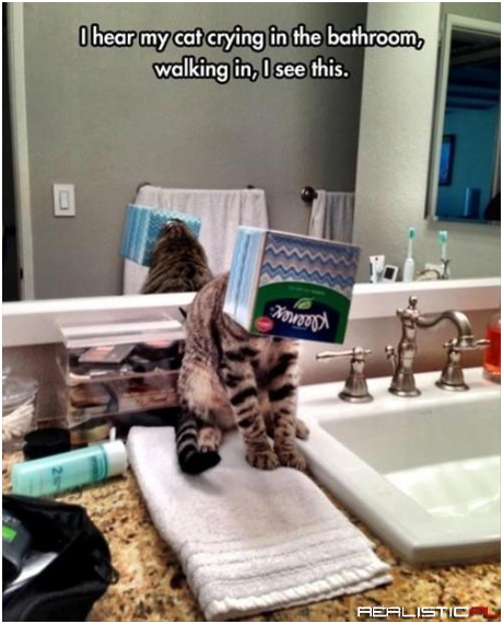 If I Fits Experiment Goes Horribly Wrong