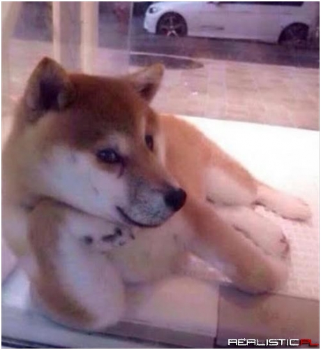 I'm Reddy for Mai Close Up