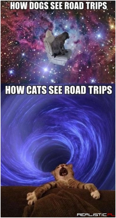 It's Always an Adventure