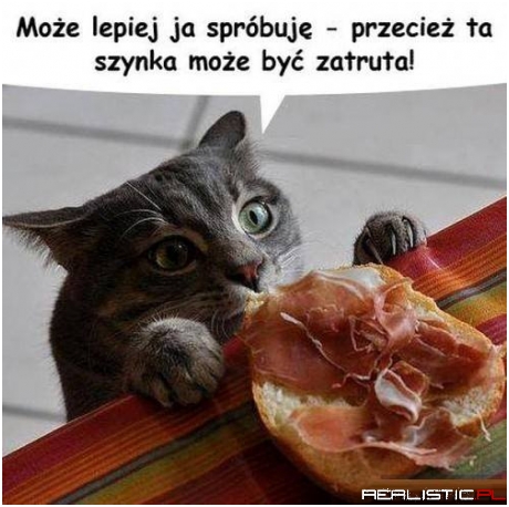 Ja spróbuje