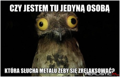 Jedyna osoba