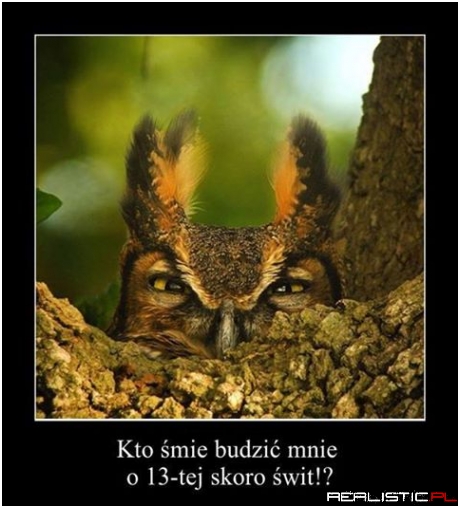 Kto śmie mnie budzić