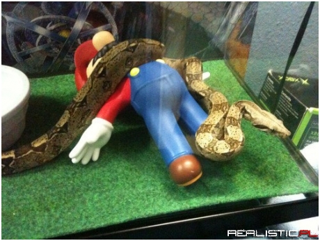 Leaked Footage of Snakes New Move Sets In Smash Bros WiiU