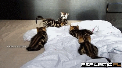Leap Frog, I Got This!