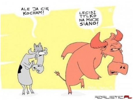 Lecisz tylko na moje siano