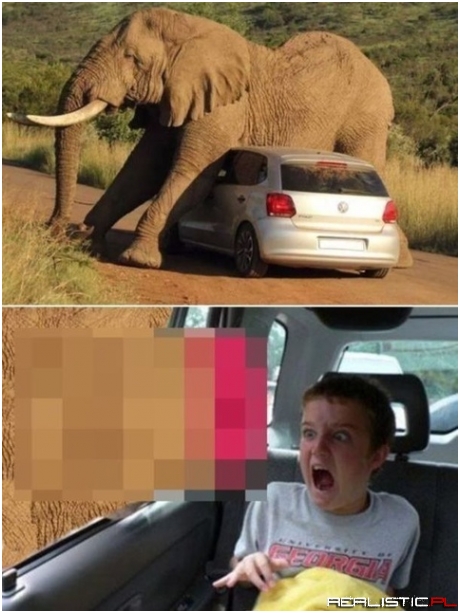 LOL