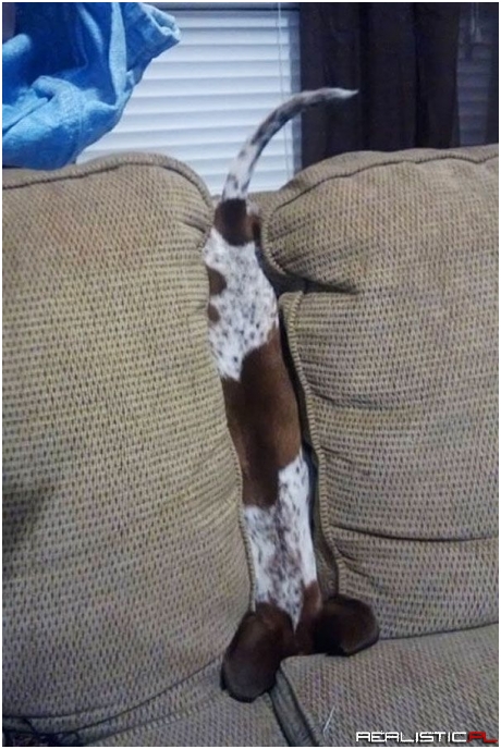 Lol