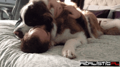 Love dog