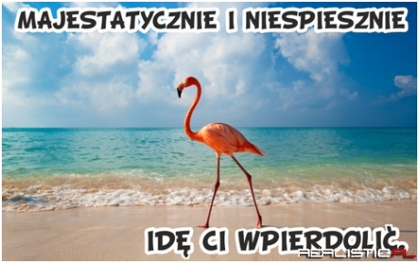Majestatycznie