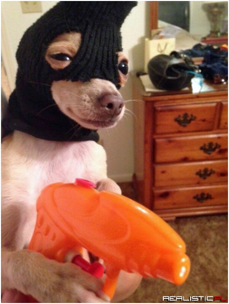 Mind if we swing by PetSmart real quick
