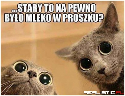 Mleko w proszku