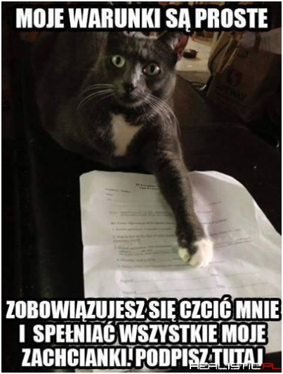 Moje warunki