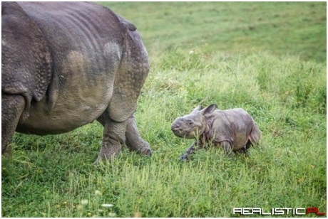 Mom! Look At Me Mom! Look! Look!