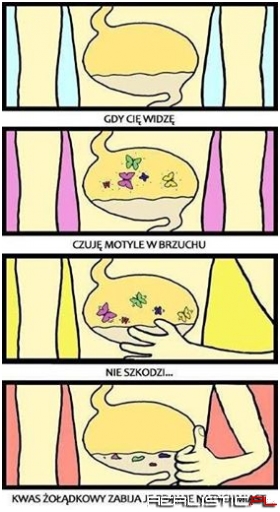 Motylki w brzuchu