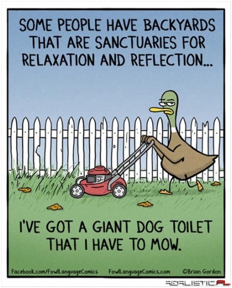 Mowing is the Messiest Way to Clean Poo
