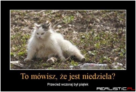 Niedziela