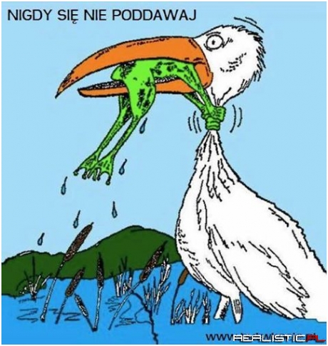 Nigdy się nie poddawaj