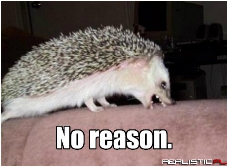 No reason