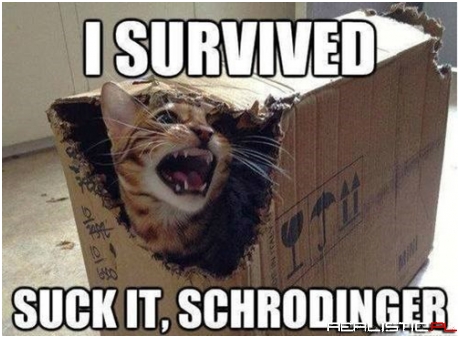 Now The Cat's Pissed