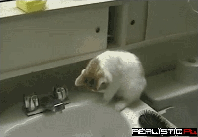 Oh Crap I Forgot About Gravity