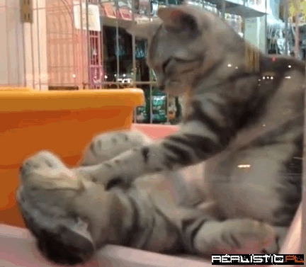 Oh Yeah, Right There, That's the Spot