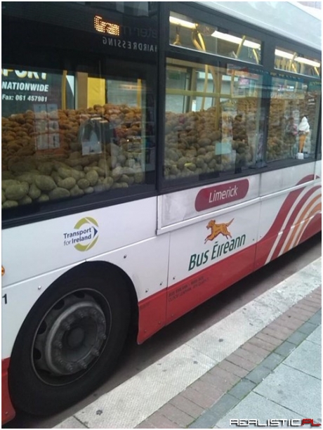 Only in Ireland...