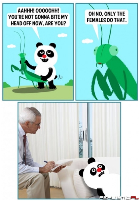 Only the females do that