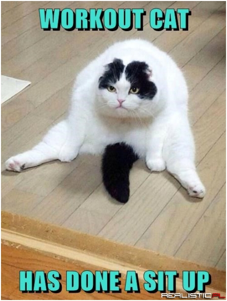 Peak Physical Conditioning Achieved