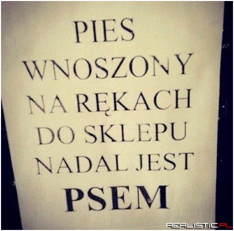 Pies