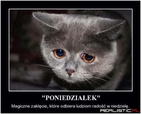 Poniedziałek