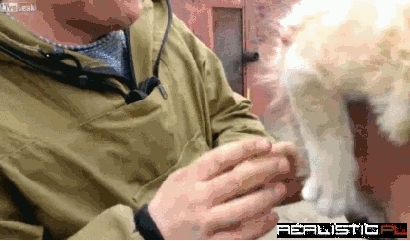 Reverse gifs are always funn