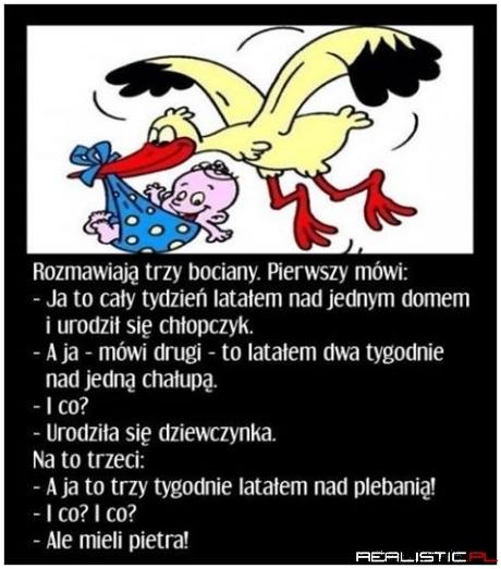Rozmawiają trzy bociany ...