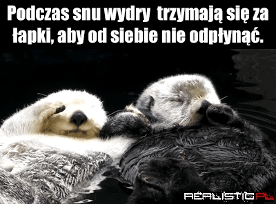 Słodziaki